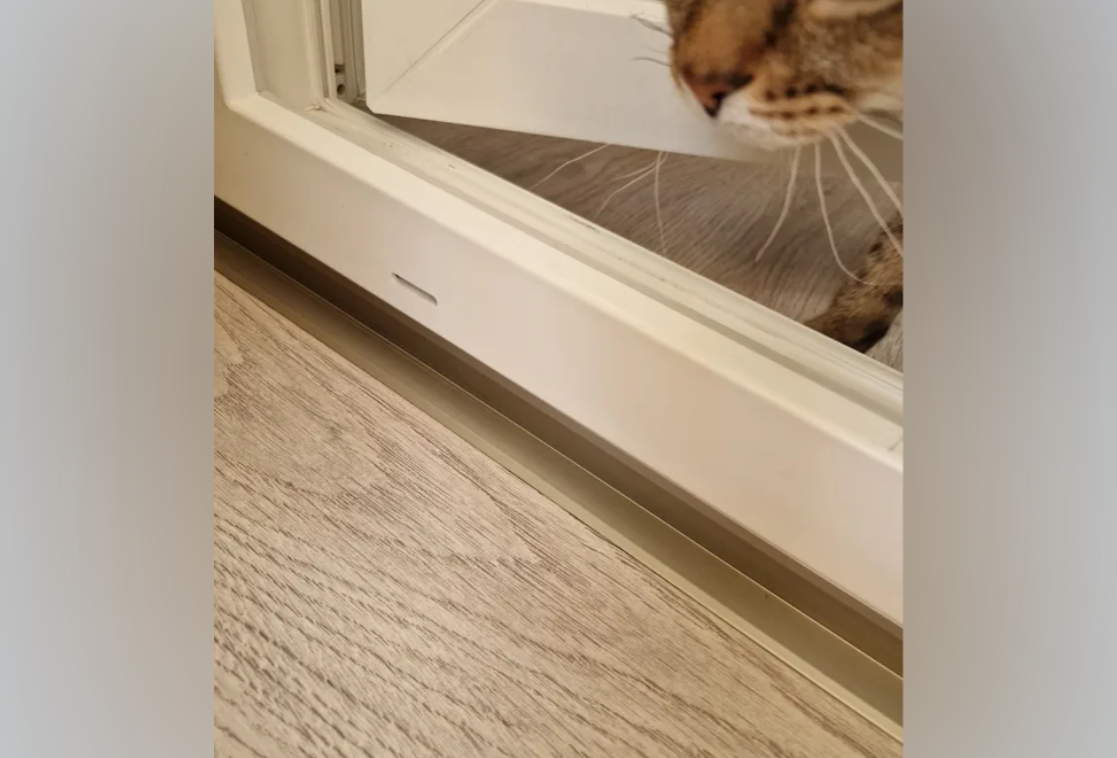 УВО 04-27.2700.052 15*15 Ель дымчатая